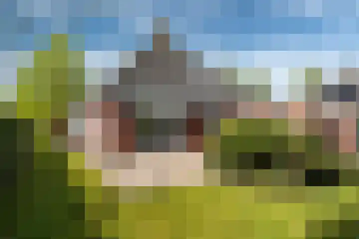 Lege Hearewei 50 Stiens thumbnail 28