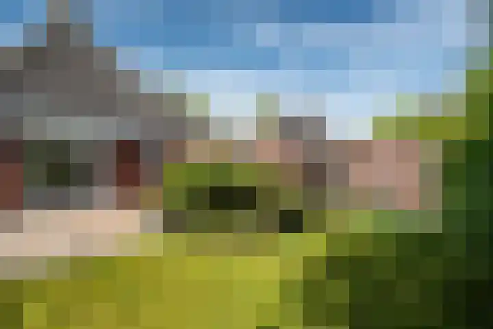 Lege Hearewei 50 Stiens thumbnail 29