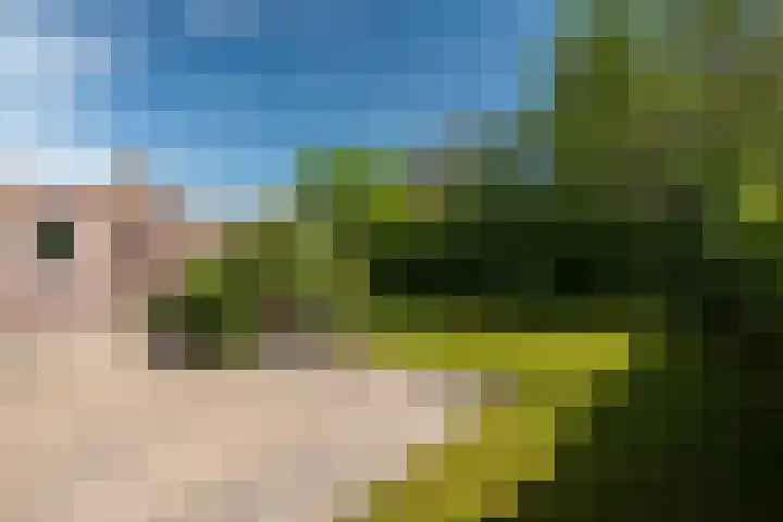 Lege Hearewei 50 Stiens thumbnail 31