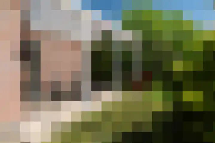 Lege Hearewei 50 Stiens thumbnail 32