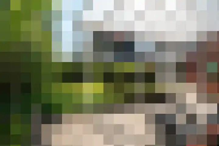 Lege Hearewei 50 Stiens thumbnail 33