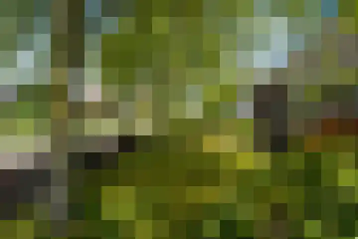 Lege Hearewei 50 Stiens thumbnail 34