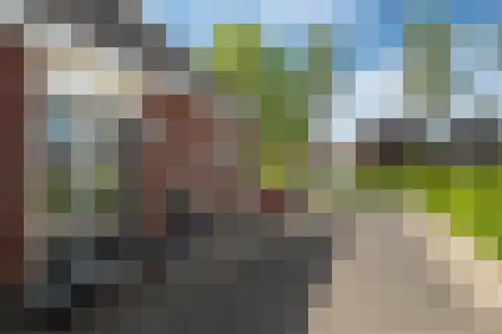 Lege Hearewei 50 Stiens thumbnail 35