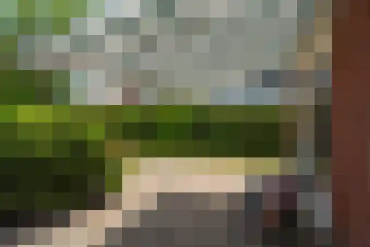 Lege Hearewei 50 Stiens thumbnail 36