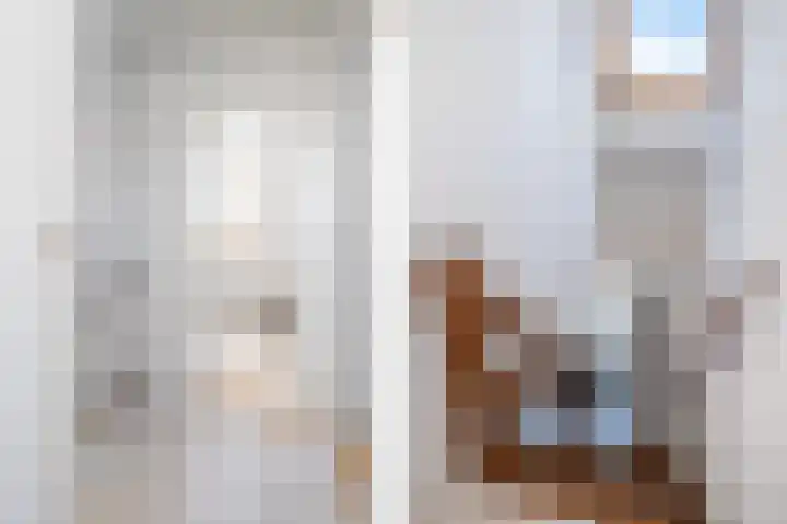 Lege Hearewei 50 Stiens thumbnail 38