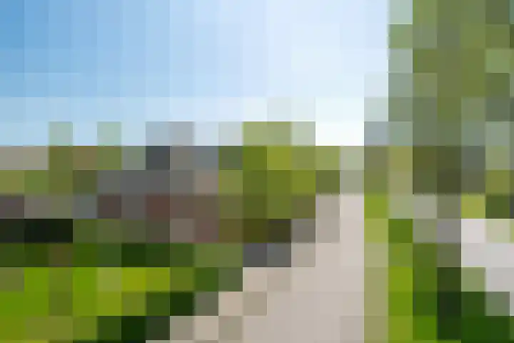 Lege Hearewei 50 Stiens thumbnail 4