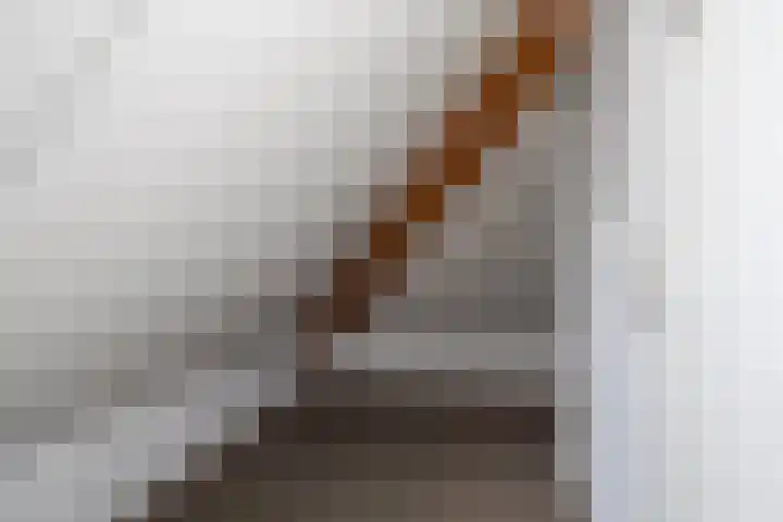 Lege Hearewei 50 Stiens thumbnail 43