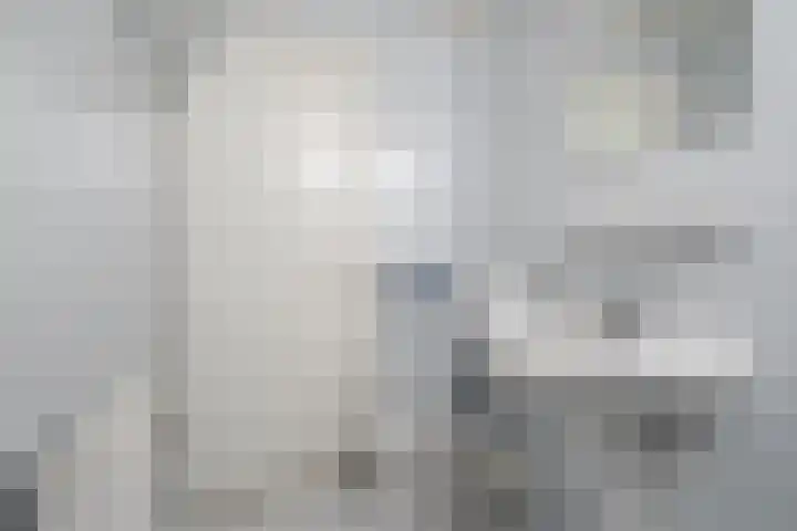 Lege Hearewei 50 Stiens thumbnail 45