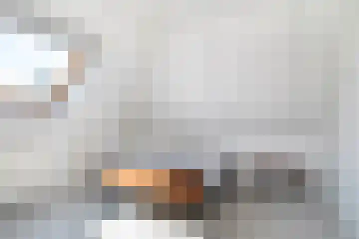 Lege Hearewei 50 Stiens thumbnail 47
