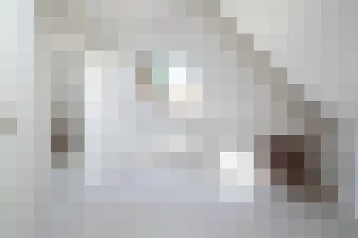 Lege Hearewei 50 Stiens thumbnail 49