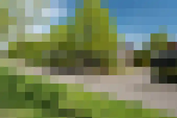 Lege Hearewei 50 Stiens thumbnail 5