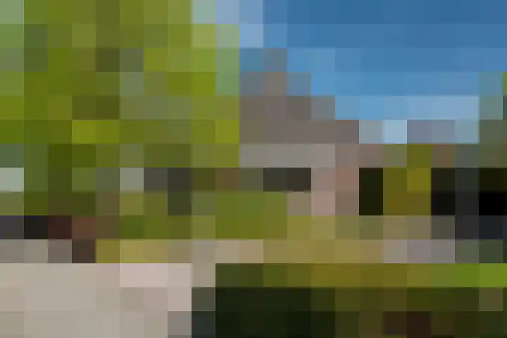 Lege Hearewei 50 Stiens thumbnail 6