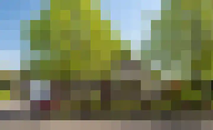 Lege Hearewei 50 Stiens thumbnail 64