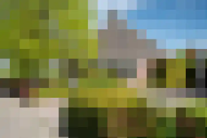 Lege Hearewei 50 Stiens thumbnail 8