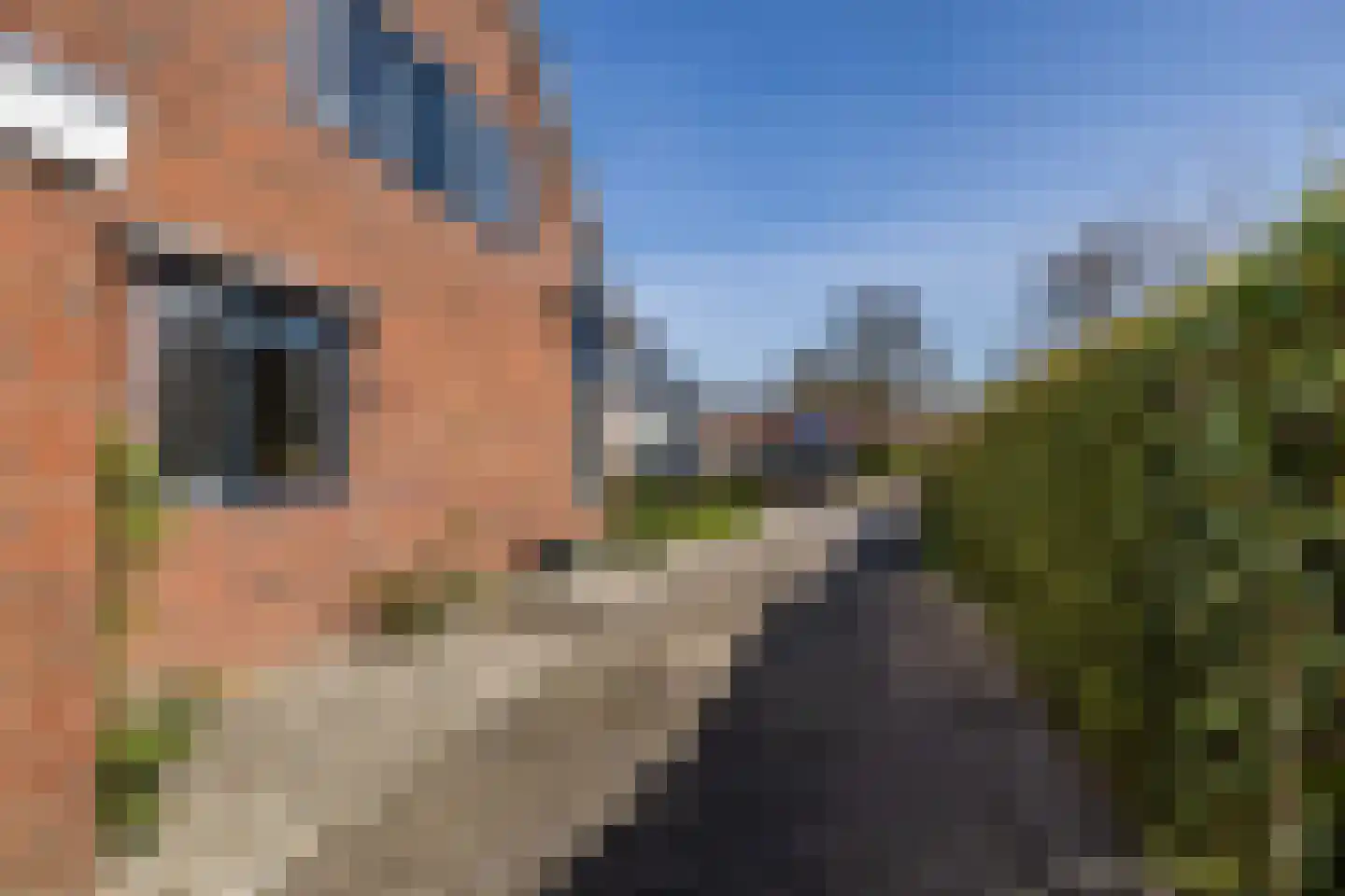 Lege Hearewei 60 Hijum thumbnail 12