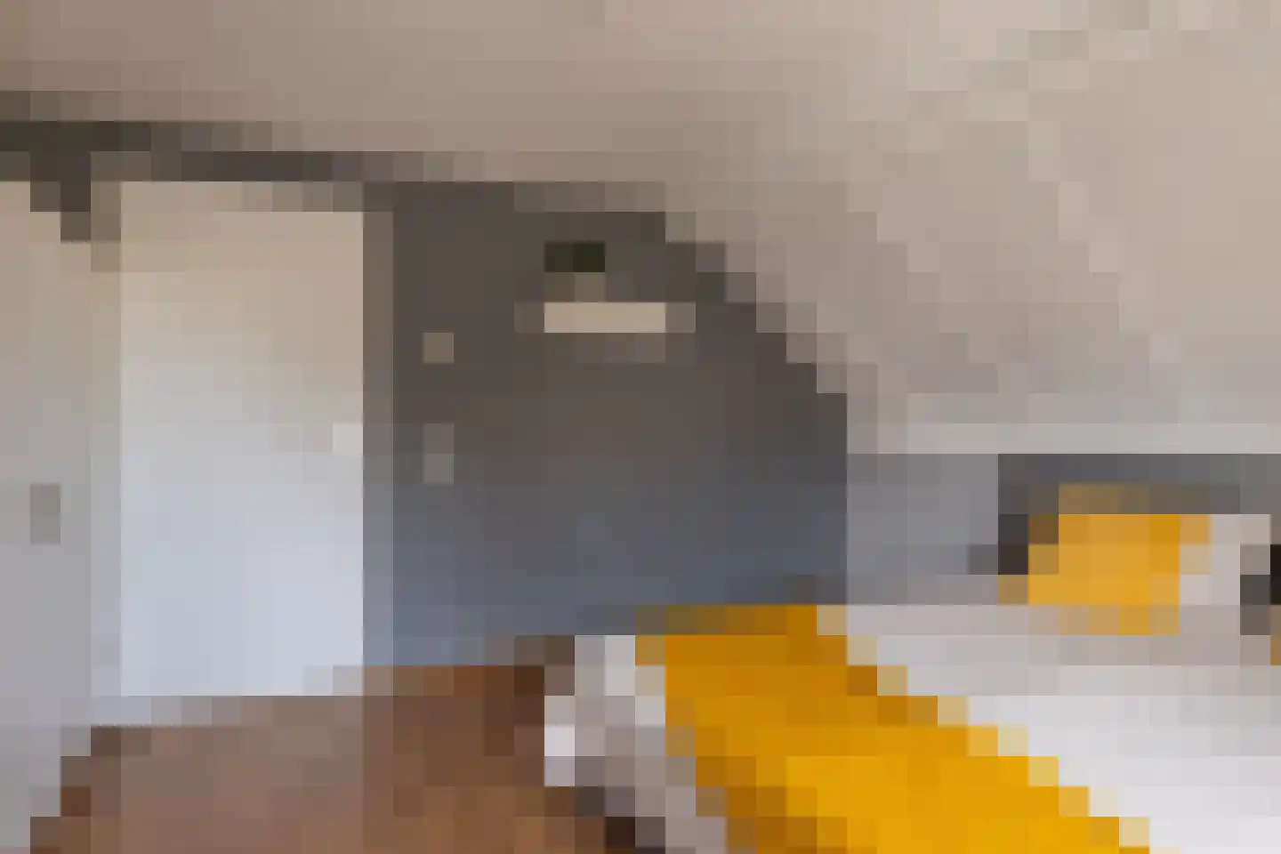 Lege Hearewei 60 Hijum thumbnail 34