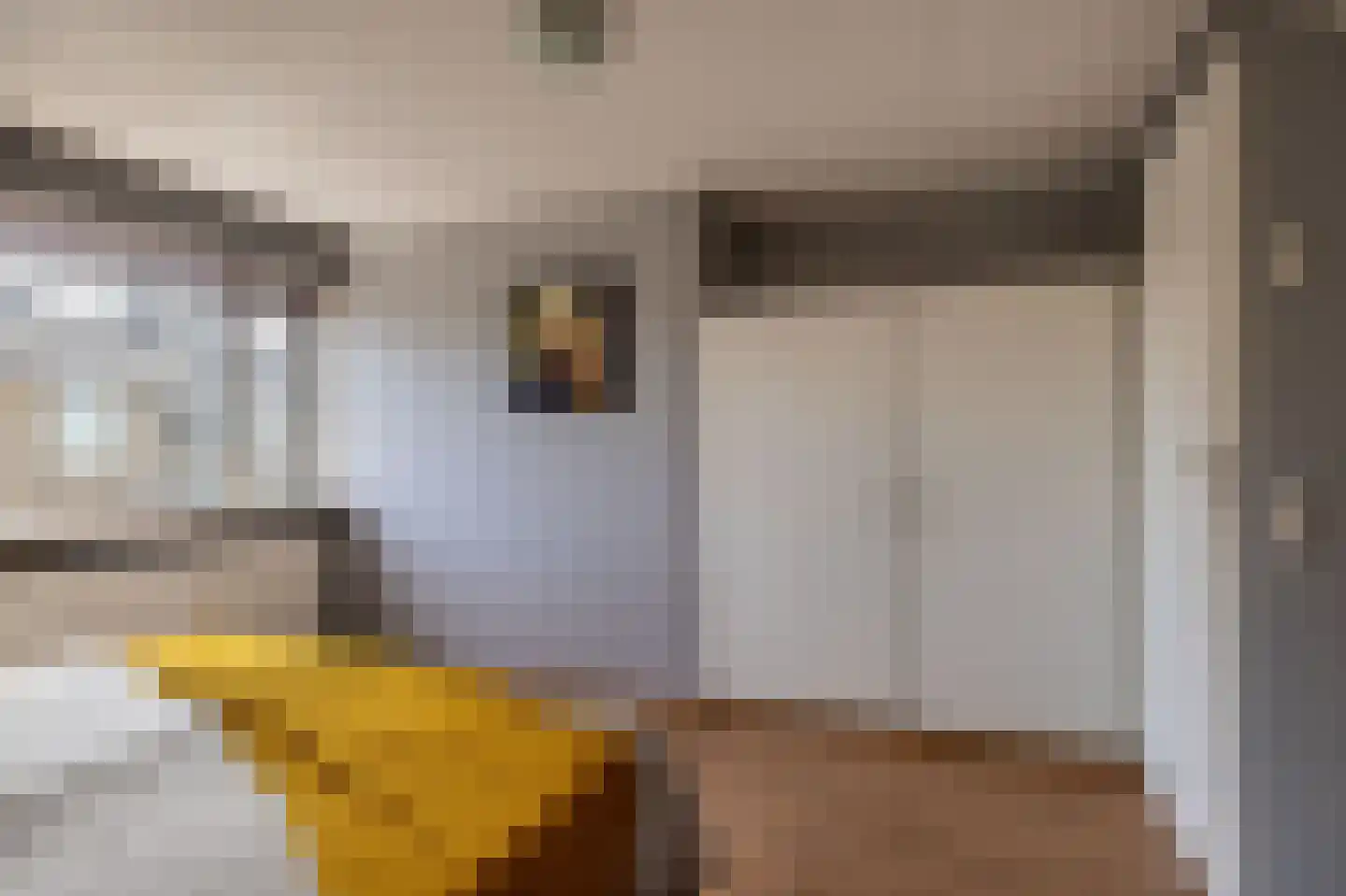 Lege Hearewei 60 Hijum thumbnail 35