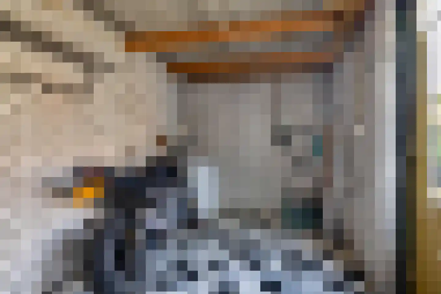 Lege Hearewei 60 Hijum thumbnail 41