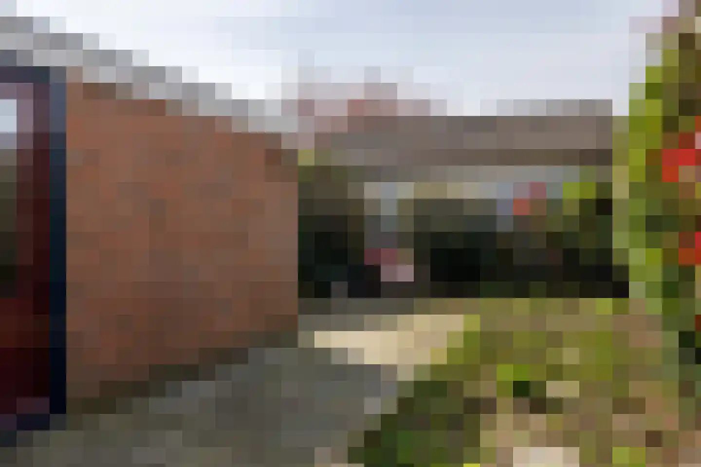 Lege Hearewei 60 Hijum thumbnail 44
