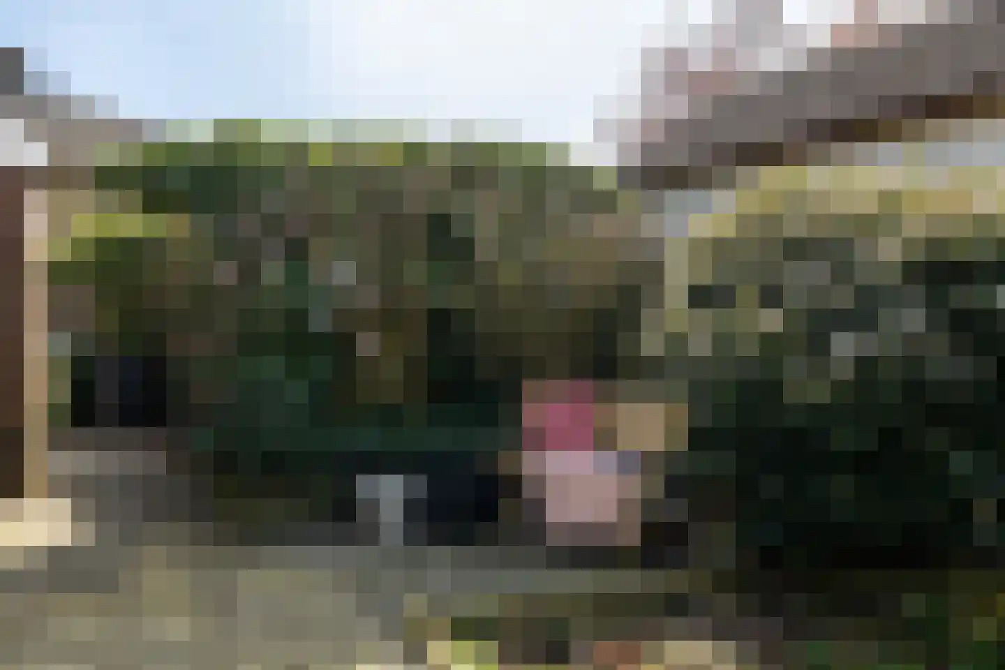 Lege Hearewei 60 Hijum thumbnail 45