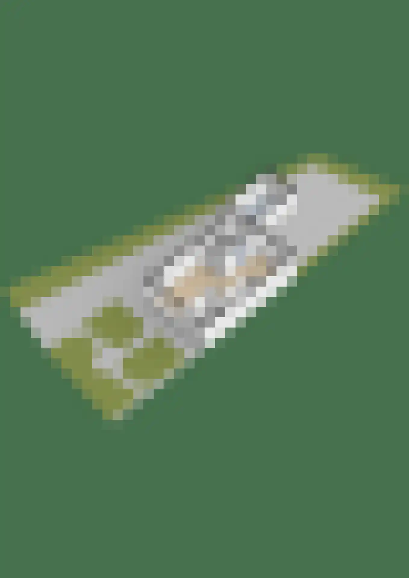 Lege Hearewei 60 Hijum thumbnail 54