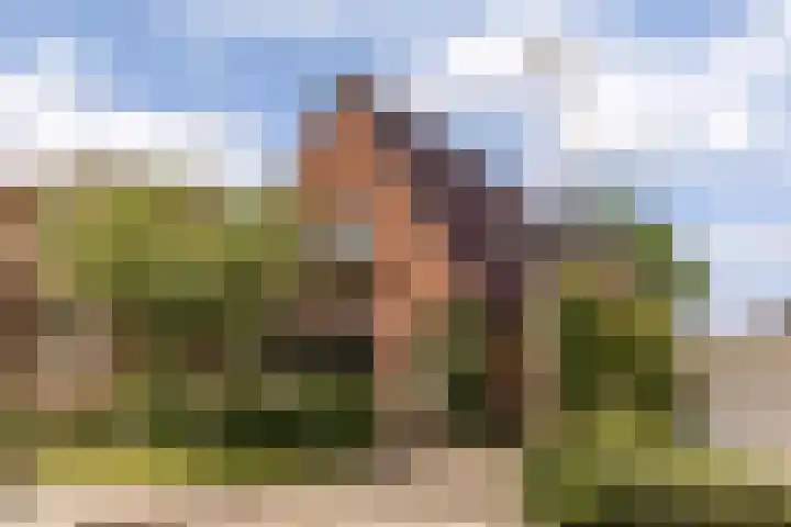 Lege Hearewei 9 Stiens