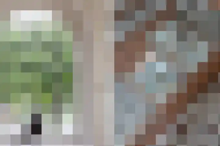 Lege Hearewei 9 Stiens thumbnail 10