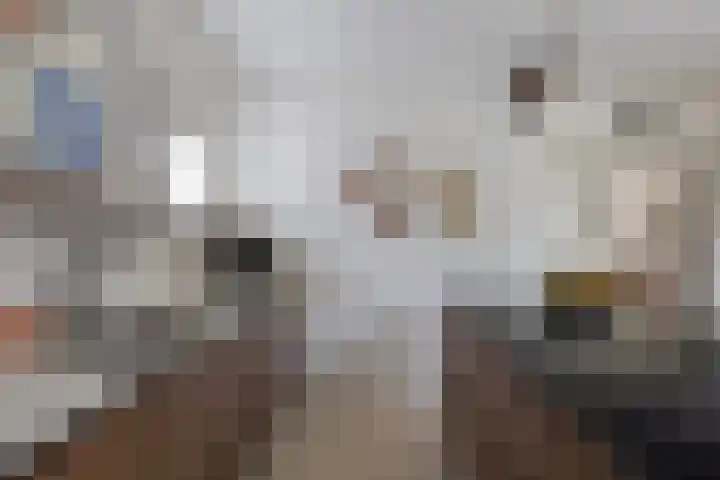 Lege Hearewei 9 Stiens thumbnail 15