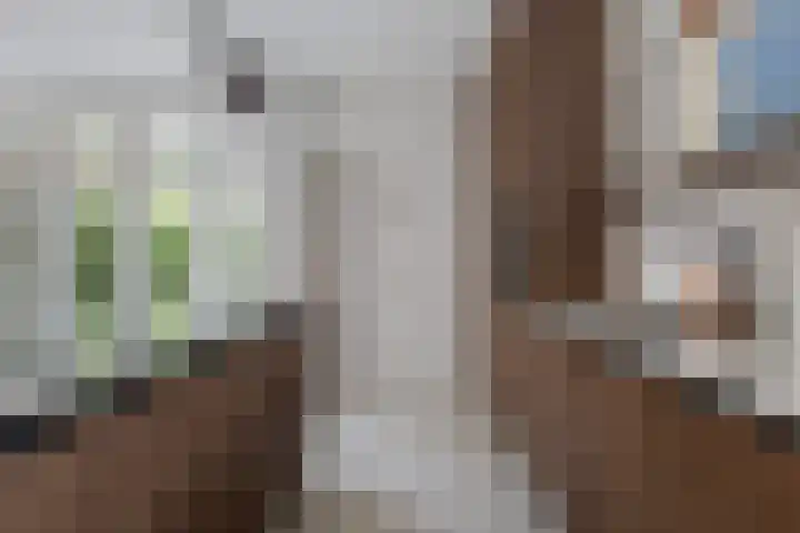 Lege Hearewei 9 Stiens thumbnail 17