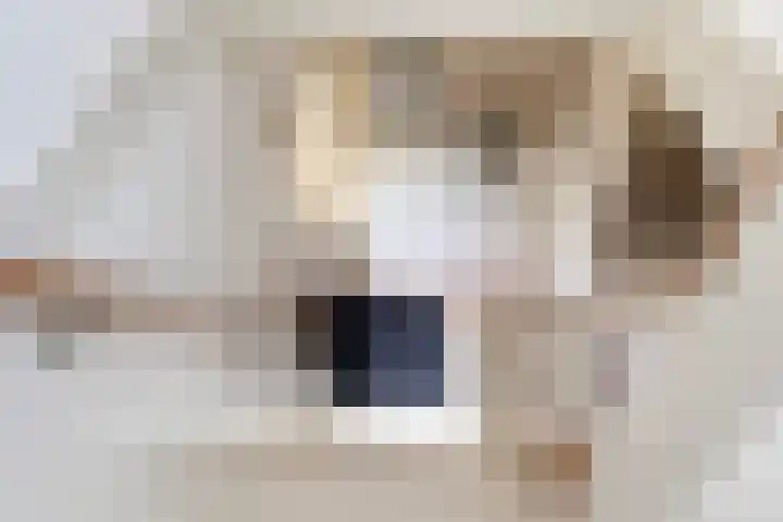 Lege Hearewei 9 Stiens thumbnail 21