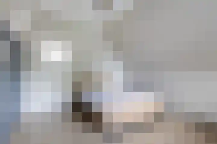 Lege Hearewei 9 Stiens thumbnail 24