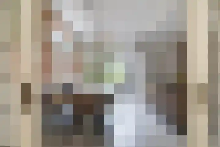Lege Hearewei 9 Stiens foto 3