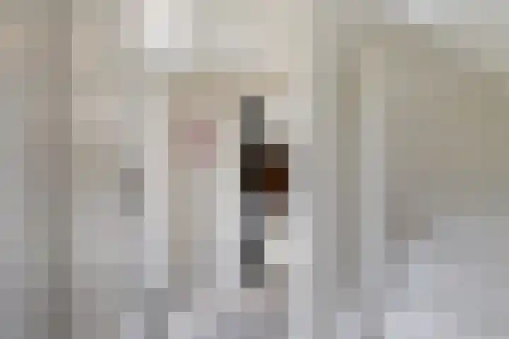 Lege Hearewei 9 Stiens thumbnail 31