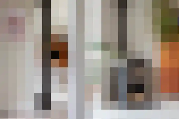 Lege Hearewei 9 Stiens thumbnail 34