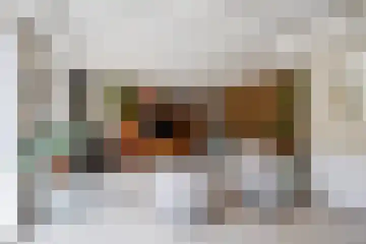 Lege Hearewei 9 Stiens thumbnail 35