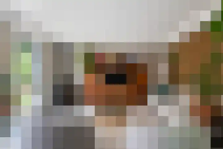 Lege Hearewei 9 Stiens thumbnail 36