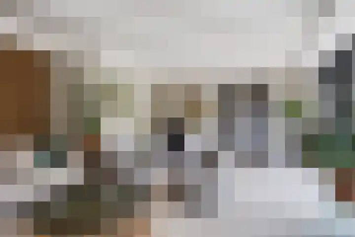 Lege Hearewei 9 Stiens thumbnail 38
