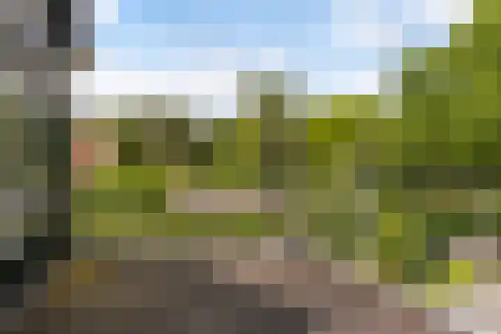 Lege Hearewei 9 Stiens thumbnail 40