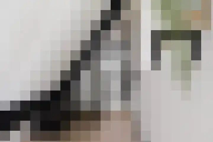 Lege Hearewei 9 Stiens thumbnail 42