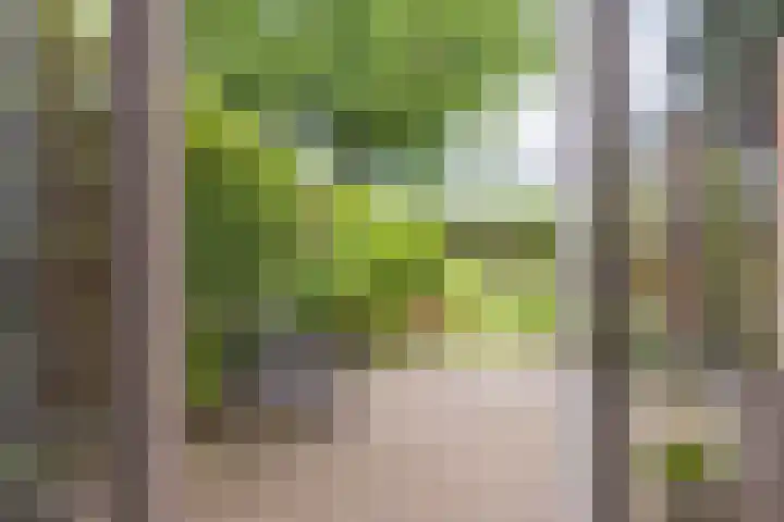 Lege Hearewei 9 Stiens thumbnail 44
