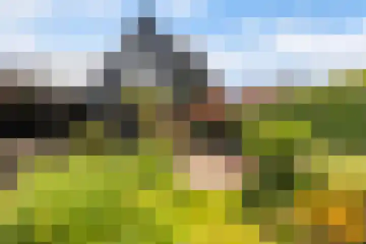 Lege Hearewei 9 Stiens thumbnail 45
