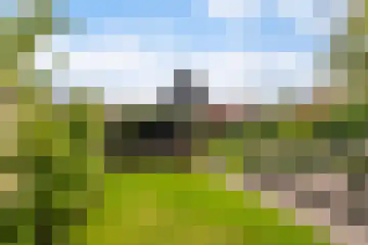 Lege Hearewei 9 Stiens thumbnail 46