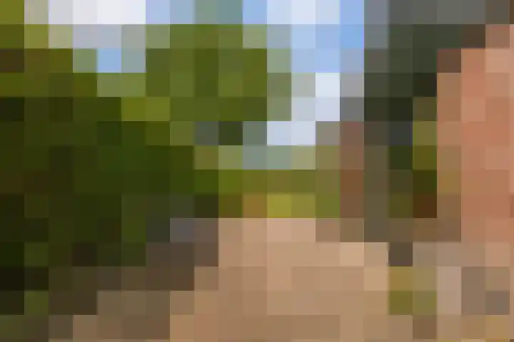 Lege Hearewei 9 Stiens thumbnail 48