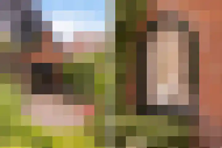 Lege Hearewei 9 Stiens thumbnail 49
