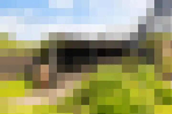 Lege Hearewei 9 Stiens thumbnail 50