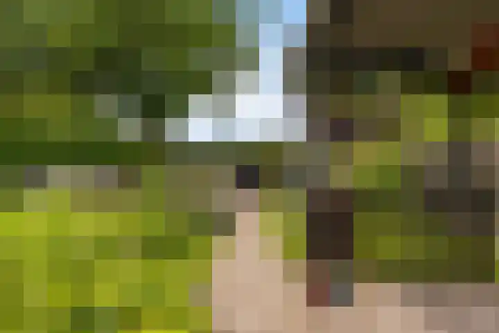 Lege Hearewei 9 Stiens thumbnail 51