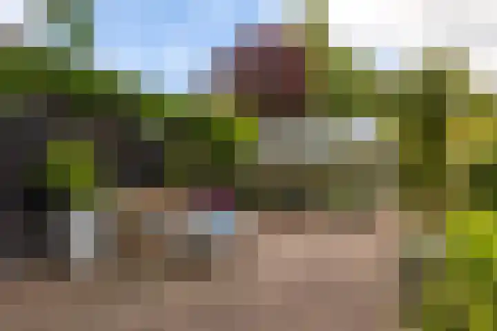 Lege Hearewei 9 Stiens thumbnail 52