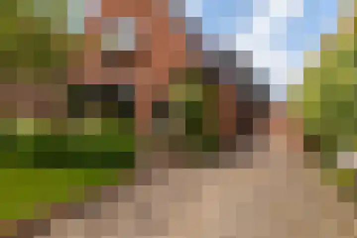 Lege Hearewei 9 Stiens thumbnail 53