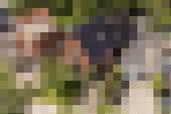 Lege Hearewei 9 Stiens thumbnail 55