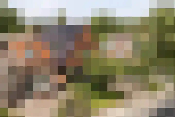 Lege Hearewei 9 Stiens thumbnail 56